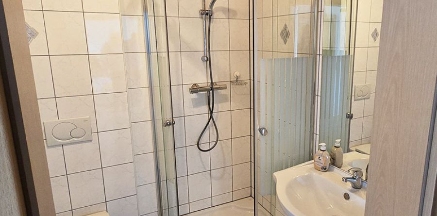 Badezimmer mit Dusche und WC in Ferienwohnung 1
